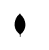 MongoDB